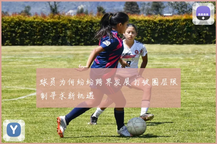 球员为何纷纷跨界发展打破圈层限制寻求新机遇