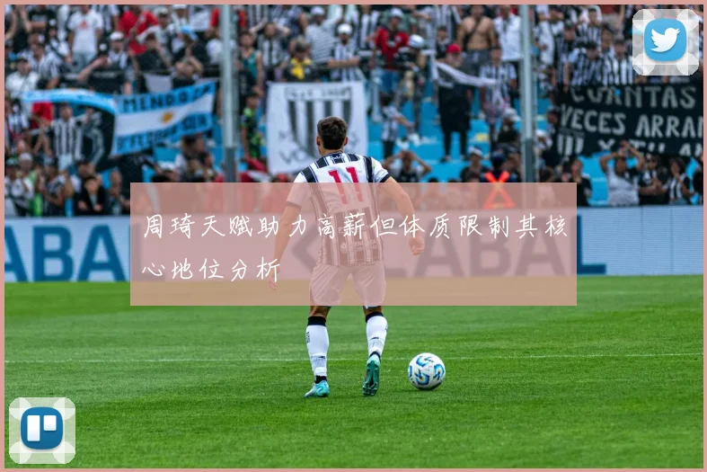 周琦天赋助力高薪但体质限制其核心地位分析