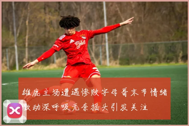 雄鹿主场遭遇惨败字母哥末节情绪激动深呼吸无奈摇头引发关注